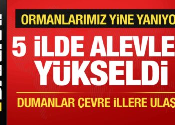 5 ilde orman yangını! Rüzgarın etkisiyle alevler büyüyor