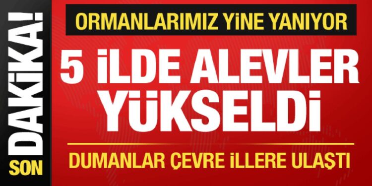 5 ilde orman yangını! Rüzgarın etkisiyle alevler büyüyor