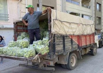 5 ton biberi ücretsiz dağıttı: “Halde 8 lira markette 80 lira”