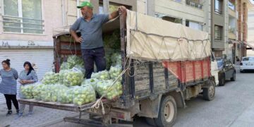 5 ton biberi ücretsiz dağıttı: “Halde 8 lira markette 80 lira”