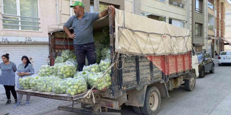 5 ton biberi ücretsiz dağıttı: “Halde 8 lira markette 80 lira”