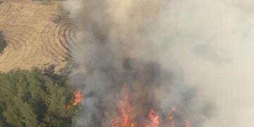 Adana’da orman yangını: 6 helikopter 2 uçak müdahale ediyor!