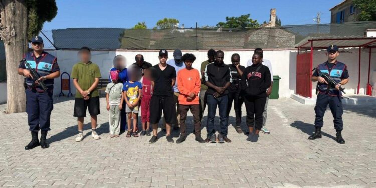 Aydın’da zeytinliğe saklanan 16 düzensiz göçmen yakalandı