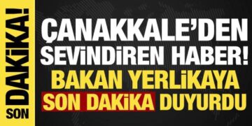 Bakan Yerlikaya sevindiren haberi duyurdu: Çanakkale yangınları kontrol altında!