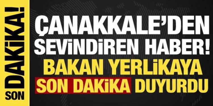 Bakan Yerlikaya sevindiren haberi duyurdu: Çanakkale yangınları kontrol altında!