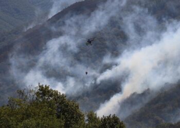 Bakan Yumaklı: 8 ildeki yangınlar kontrol altına alındı