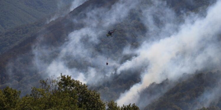 Bakan Yumaklı: 8 ildeki yangınlar kontrol altına alındı