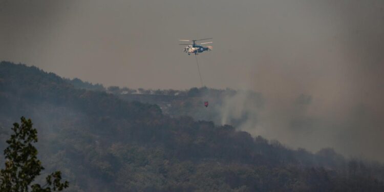 Bakan Yumaklı duyurdu: 5 ilde yangınlar kontrol altında!
