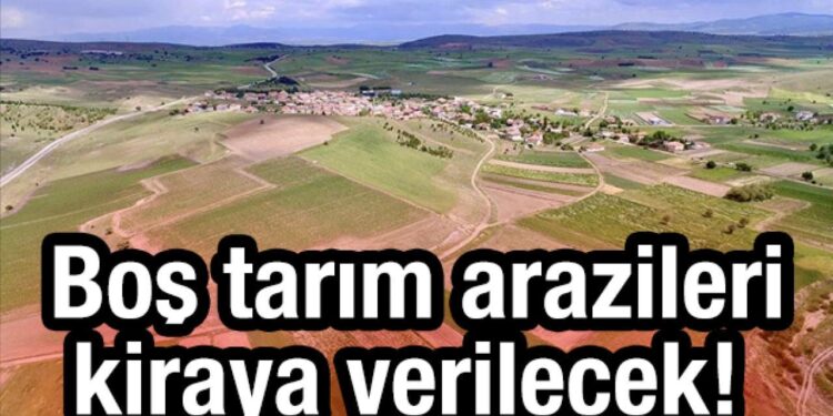 Bakanlık duyurdu: Boş tarım arazileri kiraya verilecek! Eylül’de yürürlüğe girecek