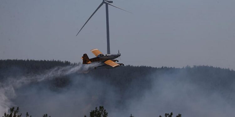 Bakanlıktan, Çanakkale’de yangında yanan ormanlık alanla ilgili açıklama geldi!