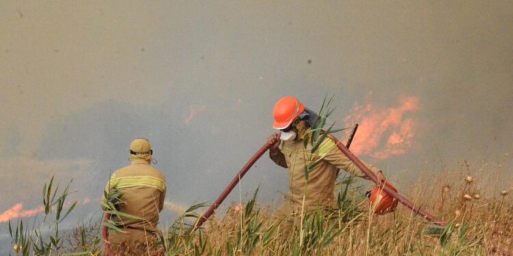 Bir kıvılcım yetiyor! Yangınların yüzde 57’si orman dışında başlamış