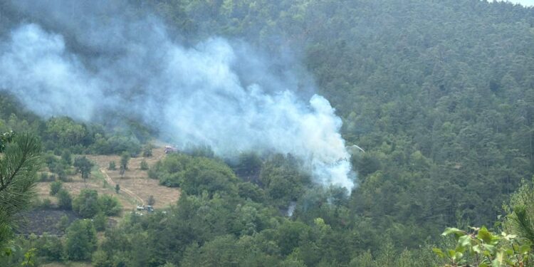 Bolu’da orman yangını: Çok sayıda ekip sevk edildi