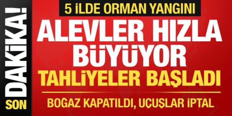 Çanakkale, Bolu, Manisa, Mersin, Aydın… 5 ilde orman yangını: Alevler hızla büyüyor