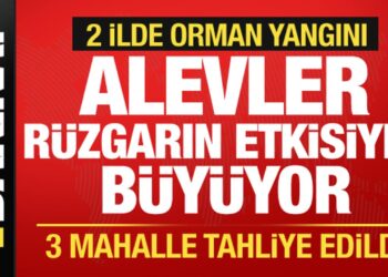 Çanakkale ve Mersin’de orman yangını! 3 mahalle tahliye edildi