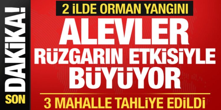 Çanakkale ve Mersin’de orman yangını! 3 mahalle tahliye edildi
