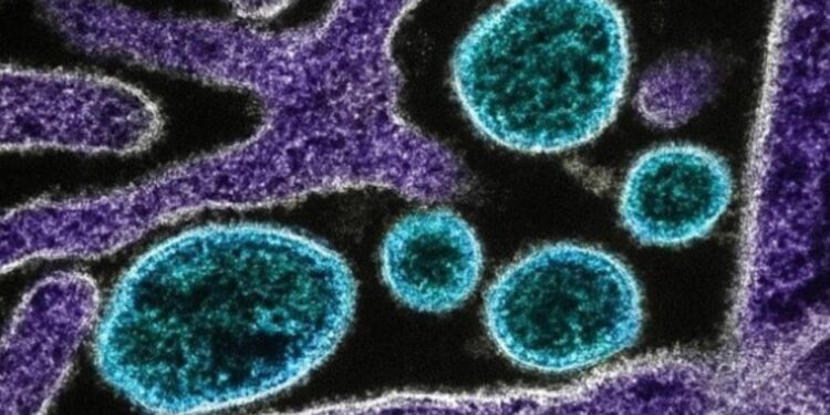 Çin’de chikungunya virüsü alarmı: Sivrisinek kaynaklı salgın büyüyor