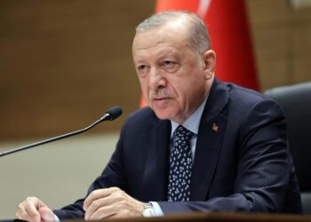Cumhurbaşkanı Erdoğan “Anafartalar Zaferi”nin 110’uncu yıl dönümünü kutladı