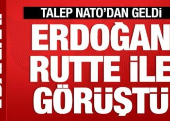 Cumhurbaşkanı Erdoğan, NATO Genel Sekreteri ile görüştü