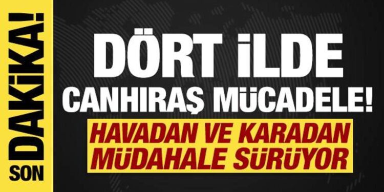 Dört ilde orman yangını! Müdahale sürüyor…