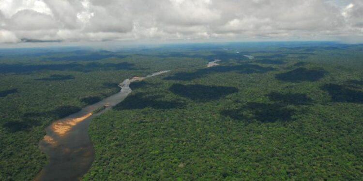 Dünya’nın en büyük akciğeri olarak biliniyor! Küresel amazon alarmı!