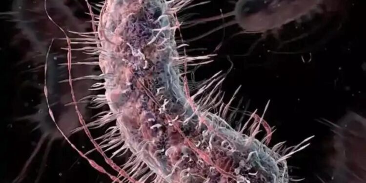 Et yiyen bakteri Türkiye’de görüldü mü? Açıklama geldi..