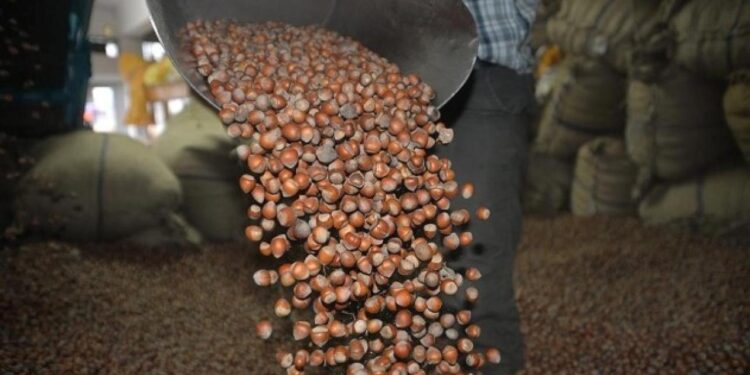 Fındık alım fiyatı belli oldu