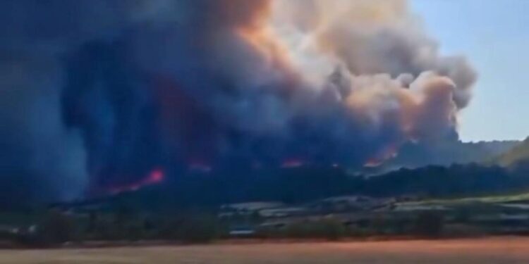 Fransa’da orman yangını! 1 ölü 9 yaralı!