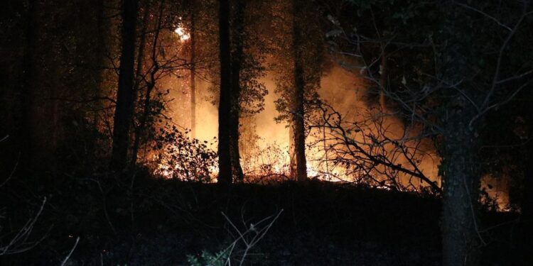 Fransa’daki orman yangınında Paris’ten daha büyük bir alan yok oldu