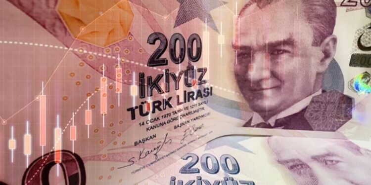 Hangi yatırım aracı ne kadar kazandırdı? TÜİK verileri paylaştı