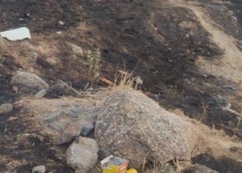 Havai fişek atarak orman yangını çıkaran şahıs hakkında karar! İfadesi pes dedirtti