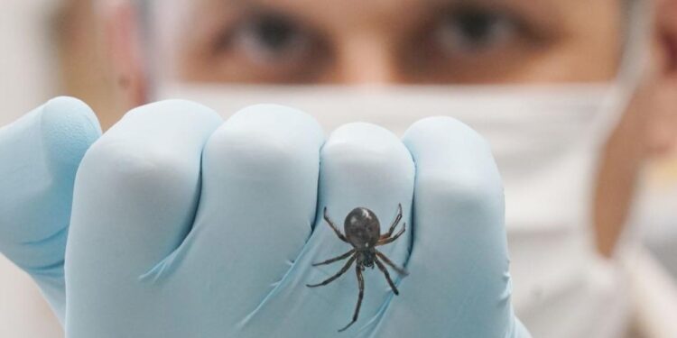 İngiltere’de kırmızı alarm: ‘Pencereleri kapatın!’ uyarısı!