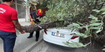 İstanbul’da korku dolu anlar: 3 ağaç birden devrildi!