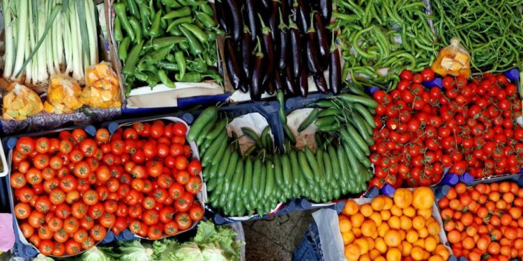 Kayseri’de “Yüzde 100 Ekolojik Pazar” açıldı