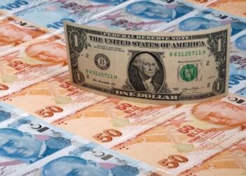 KKM 19 milyar 55 milyon lira azaldı