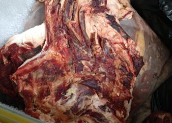 Mersin’de bir markette bozulmuş et ele geçirildi