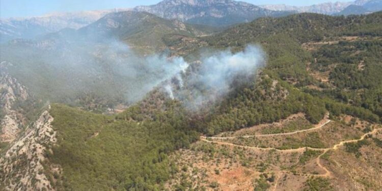 Mersin’de orman yangını
