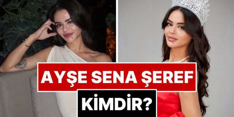 Miss International’da Türkiye’yi Temsil Edecek Ayşe Sena Şeref Kimdir? Sena Şeref Kaç Yaşında ve Aslen Nereli?