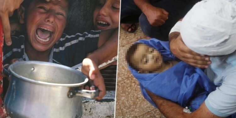 Mızrak çuvala sığmadı… Yahudilerde itiraf dalgası: Ülkemiz soykırımcı!