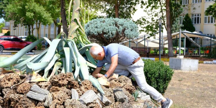 Ömründe sadece bir kez açıyor! Tam 20 yıl bu görüntü için beklediler