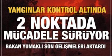 Orman yangınları kontrol altına alındı! 2 bölgede çalışmalar sürüyor