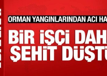 Orman yangınlarından acı haber: Bir işçi daha şehit oldu