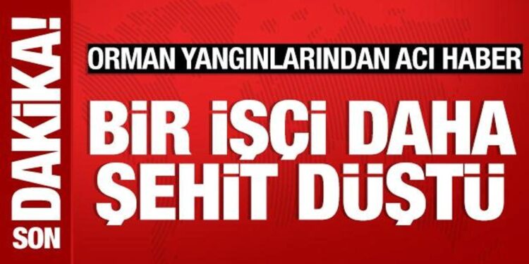 Orman yangınlarından acı haber: Bir işçi daha şehit oldu