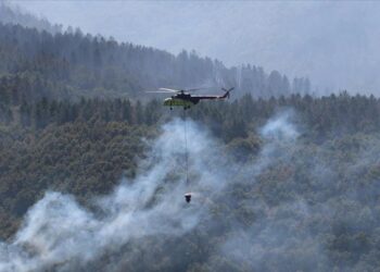 Orman yangınlarından etkilenen alanlarda avlanmak yasaklandı