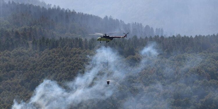 Orman yangınlarından etkilenen alanlarda avlanmak yasaklandı