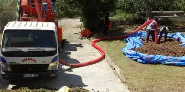 Saatlik ücreti 4 bin 500 TL! Fındıkta patoz mesaisi başladı