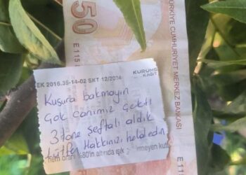 Şeftali ağacında duygulandıran not: ‘İnsanlık ölmemiş’ dedirtti!