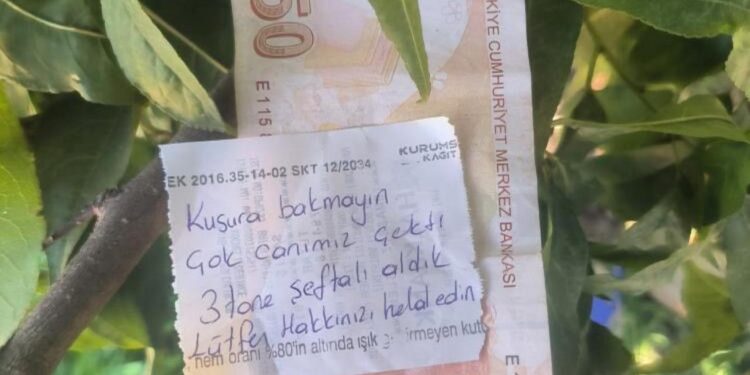 Şeftali ağacında duygulandıran not: ‘İnsanlık ölmemiş’ dedirtti!