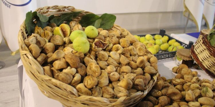 Sezonun ilk kuru inciri satıldı! Kilosu 800 Türk Lirası…