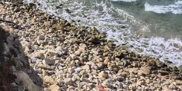 Şile’de tehlikeli olduğu değerlendirilen bir cisim bulundu