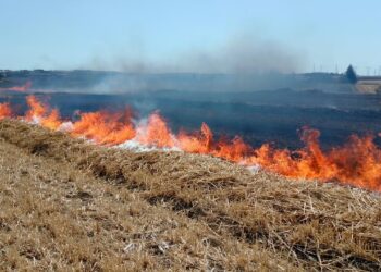 Silivri’de korkutan alevler söndürüldü!